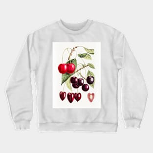 Hand drawn cherry Crewneck Sweatshirt